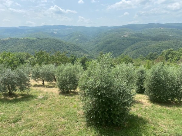 Pause in the&nbsp;Apennines